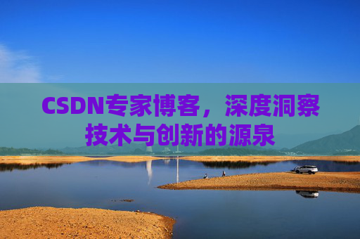 CSDN专家博客，深度洞察技术与创新的源泉